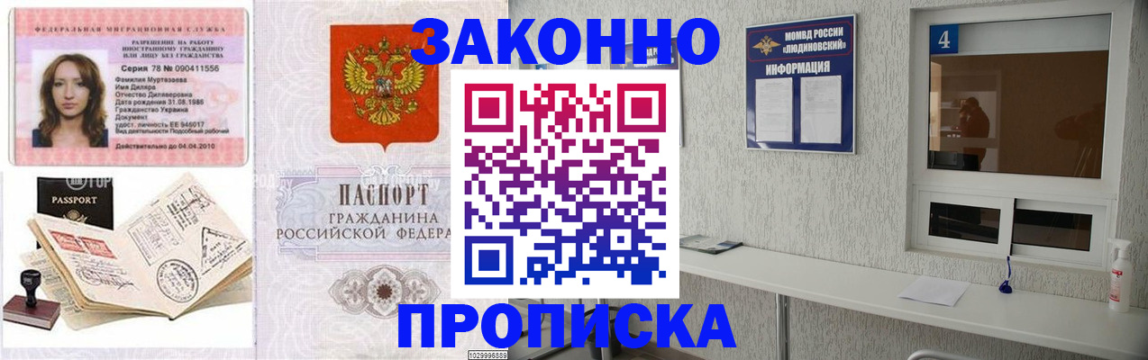 прописка в квартире в Ясногорске